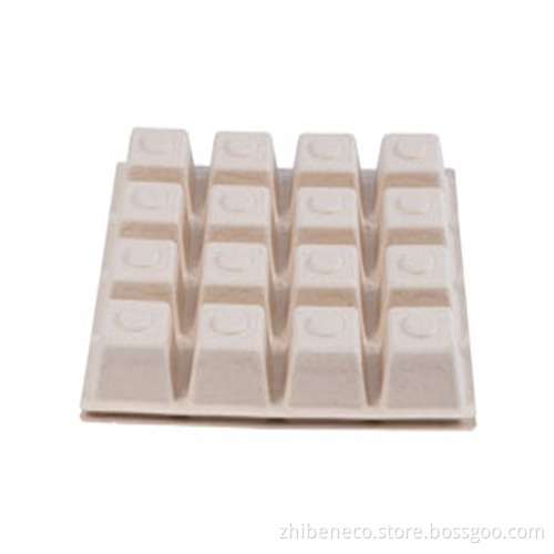 Eco Friendly Disposable & Biodegradable Square/Rectangular Container